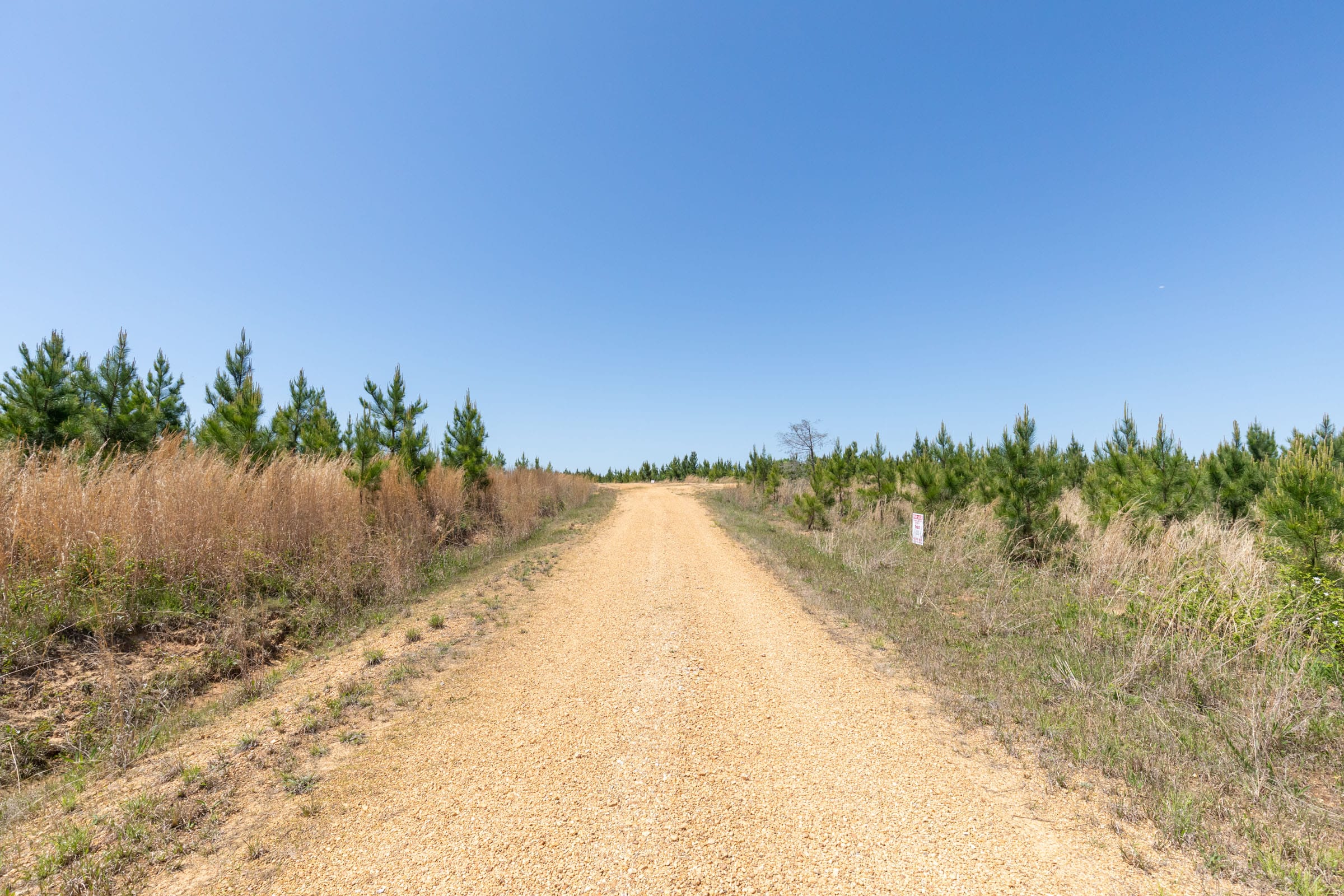 Clear Wood Tract 50 photo 18