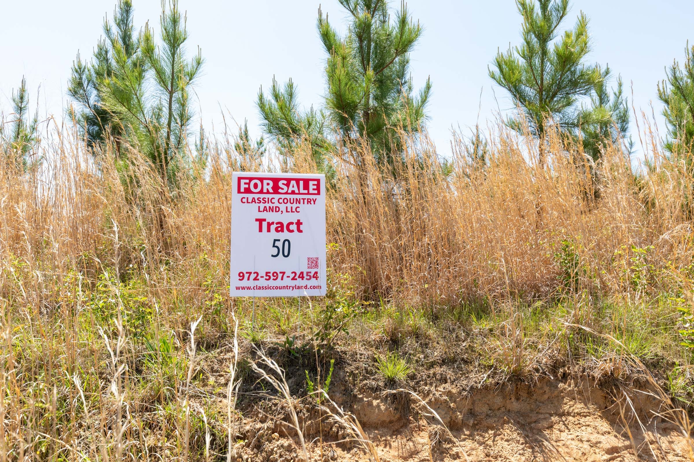Clear Wood Tract 50 photo 1