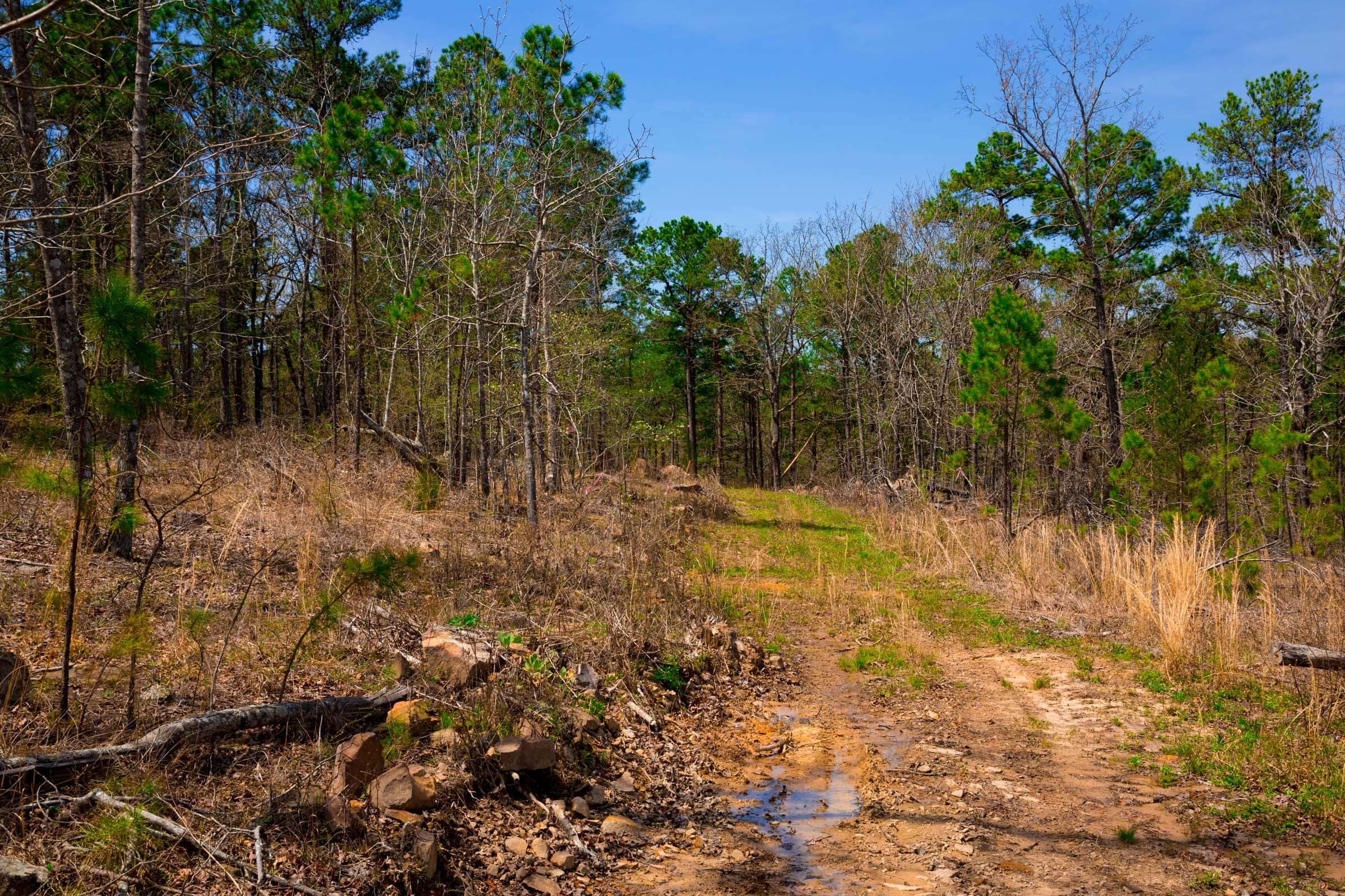 Stone Creek Phase II Tract 193 photo 7