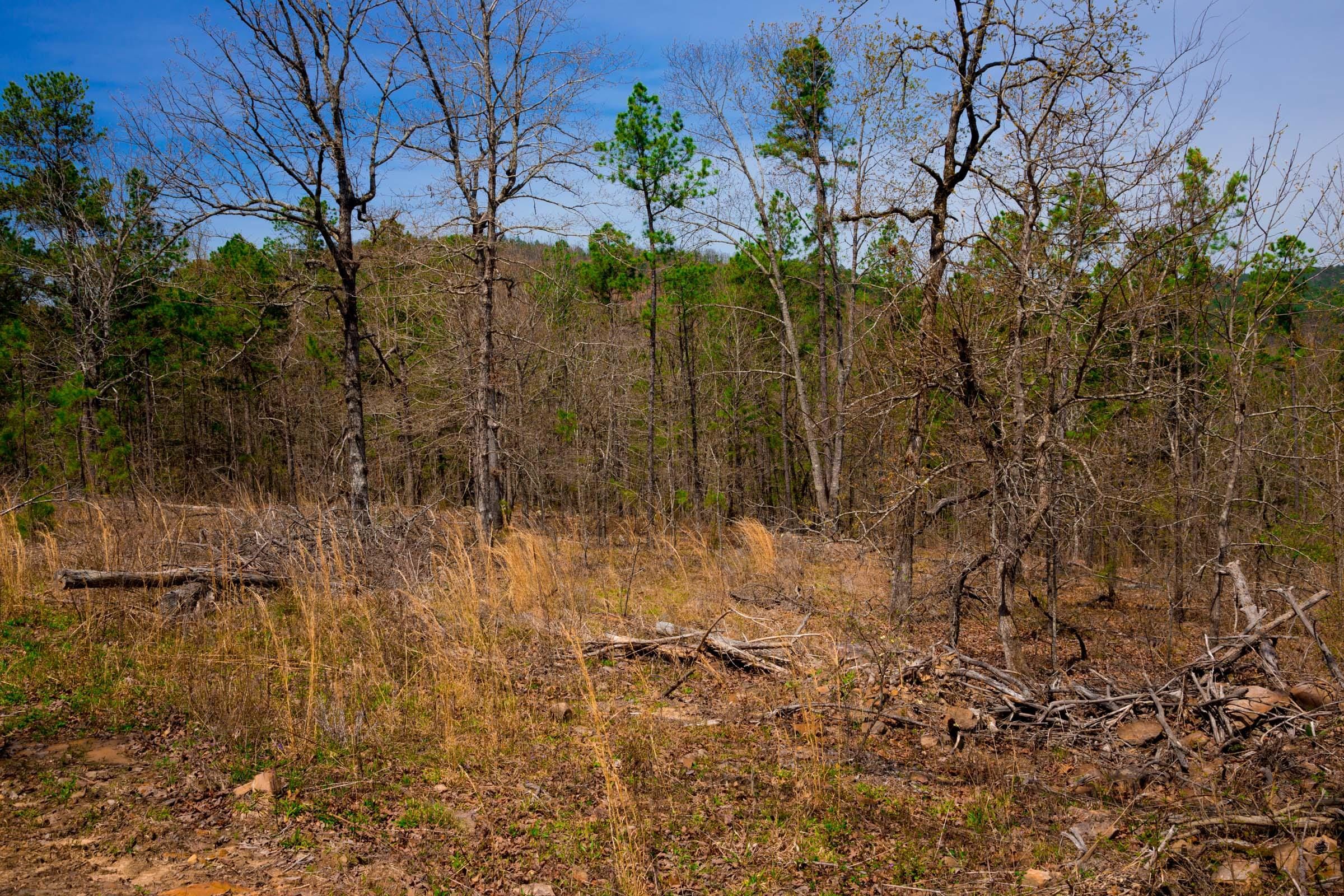 Stone Creek Phase II Tract 193 photo 9