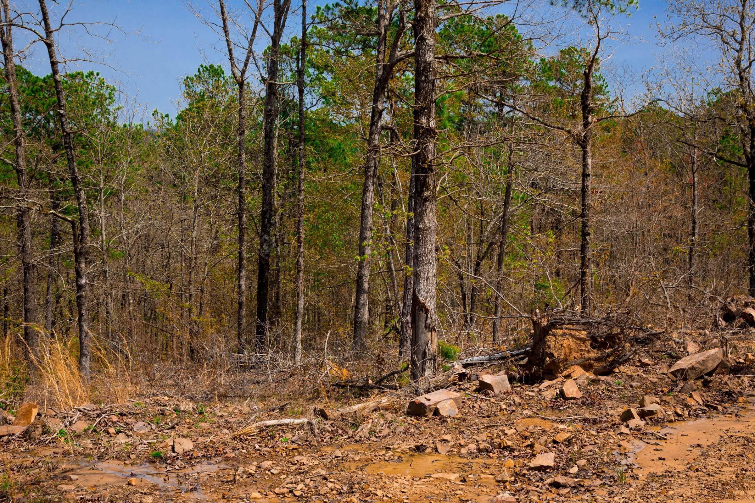 Stone Creek Phase II Tract 193 photo 10