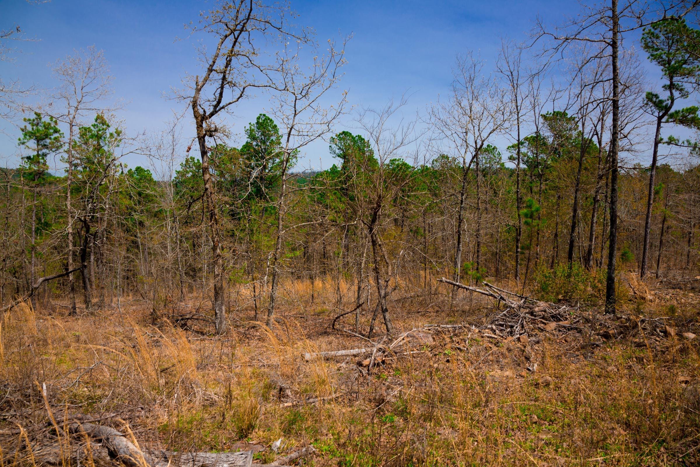Stone Creek Phase II Tract 193 photo 11