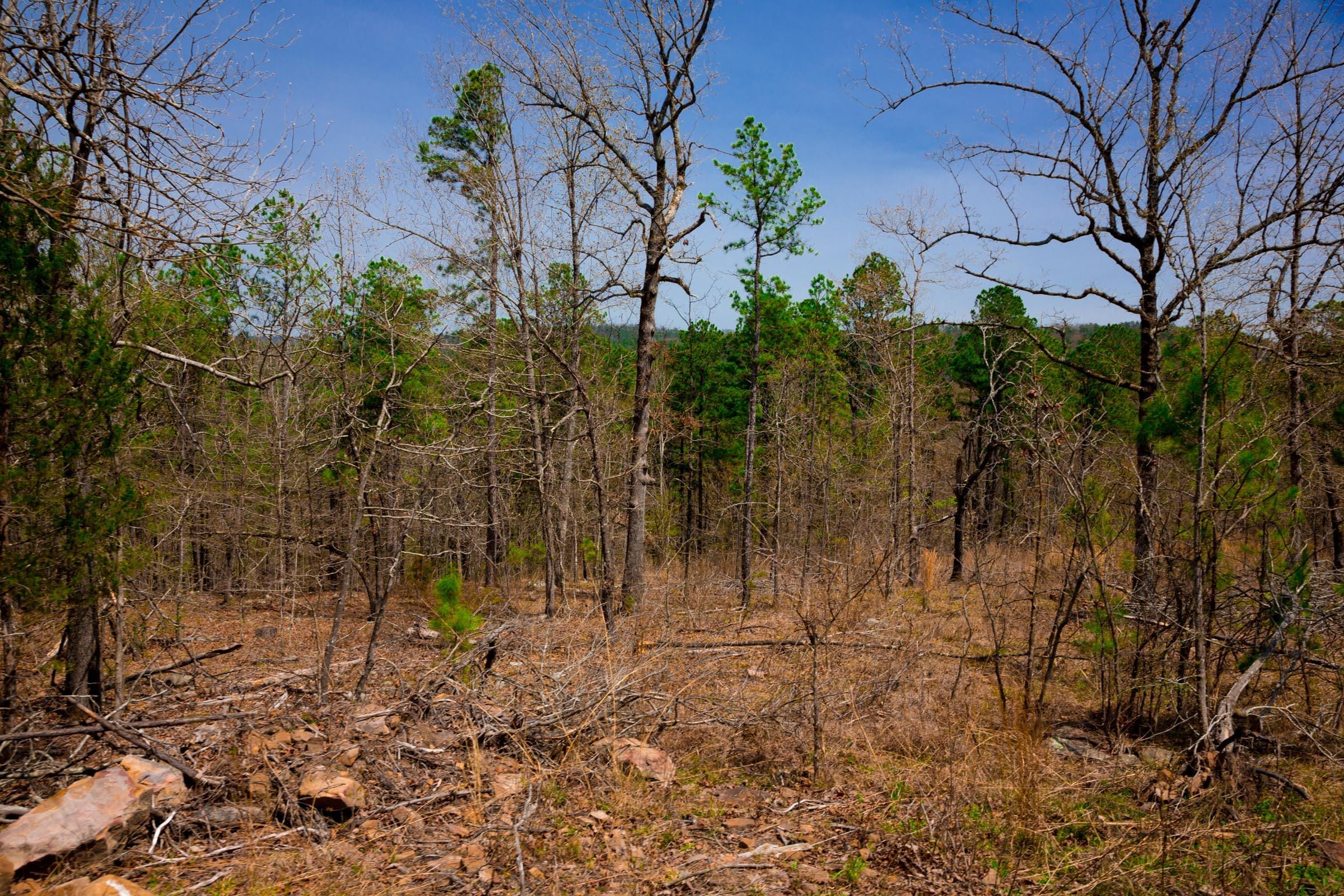 Stone Creek Phase II Tract 193 photo 12