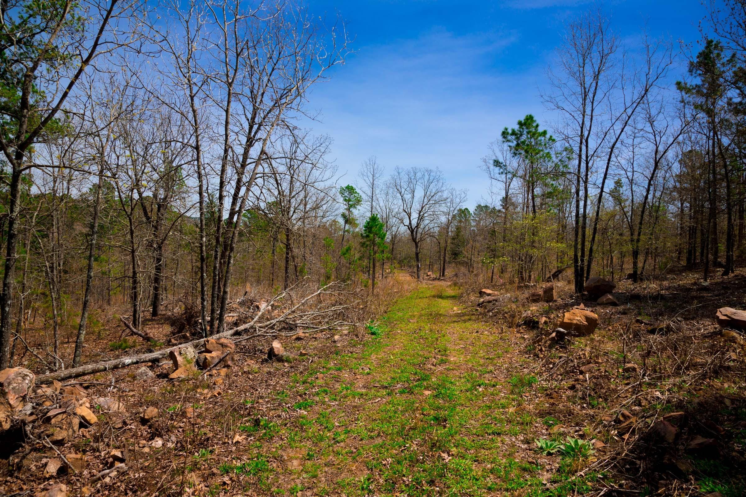 Stone Creek Phase II Tract 193 photo 8
