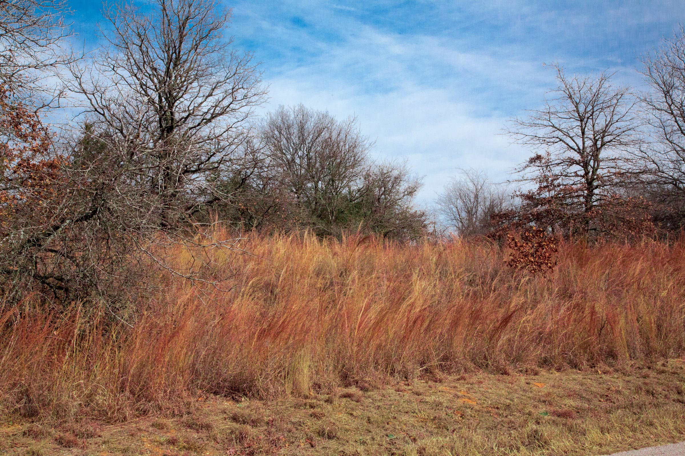 Legacy Ranch Tract 12 photo 6