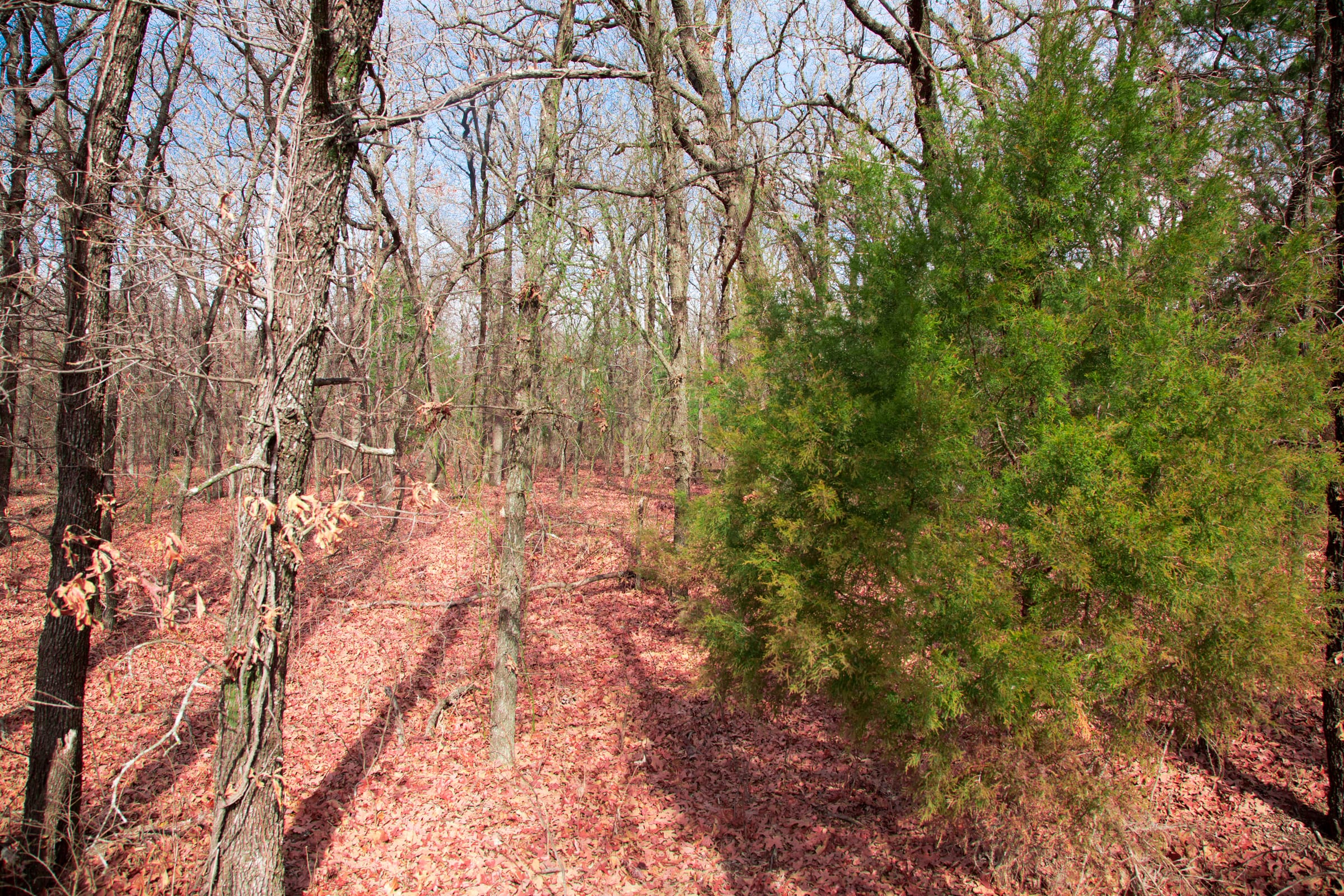 Legacy Ranch Tract 12 photo 9
