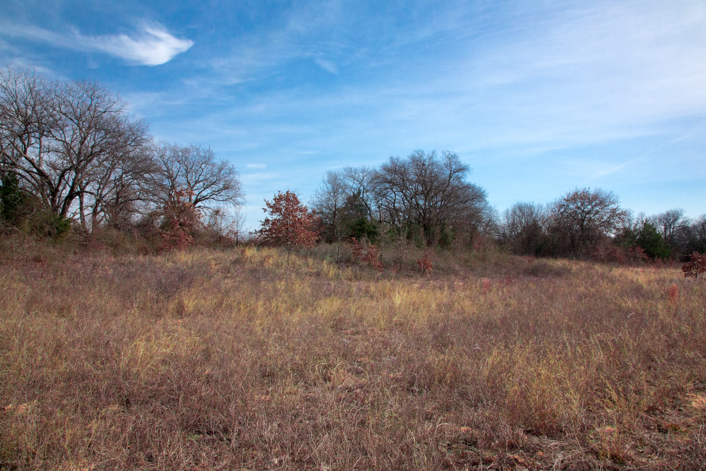 Legacy Ranch Tract 12 photo 14