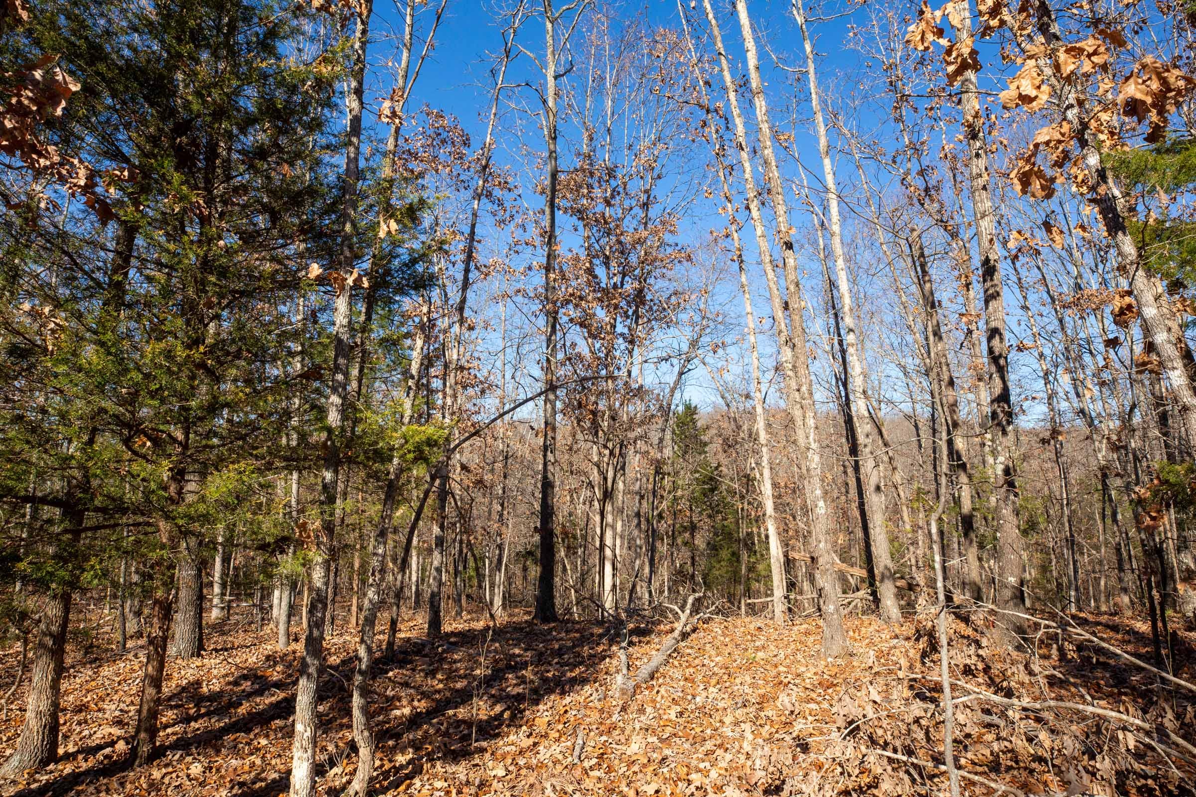 Dutchman Hollow Tract 11 photo 6