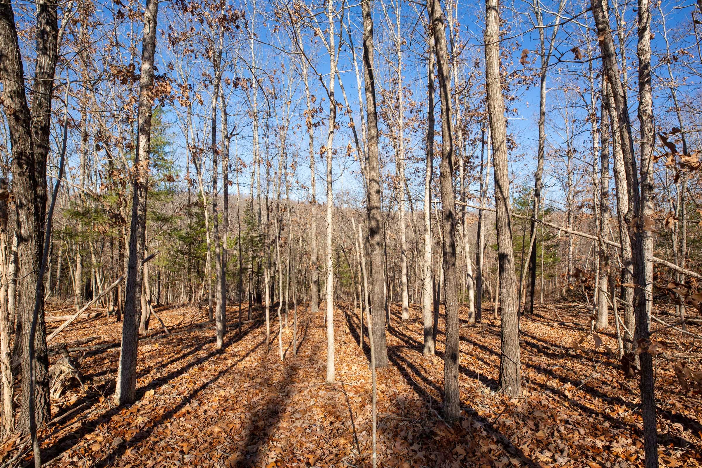 Dutchman Hollow Tract 11 photo 1