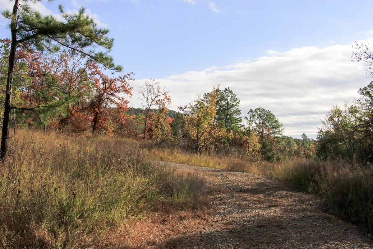 Stone Creek Phase III Tract 60 photo 3