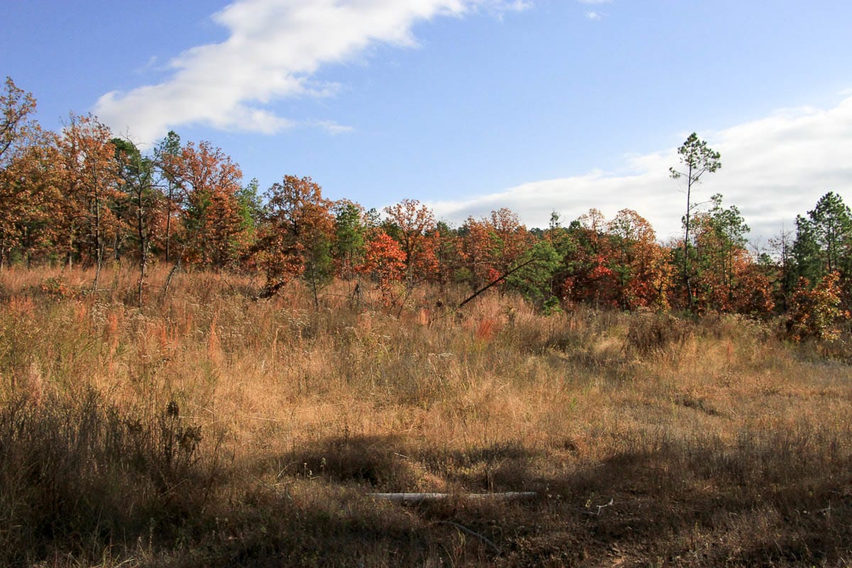 Stone Creek Phase III Tract 60 photo 4