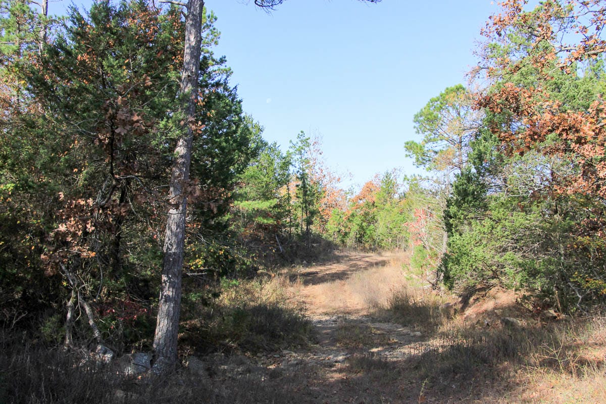 Stone Creek Phase III Tract 60 photo 5