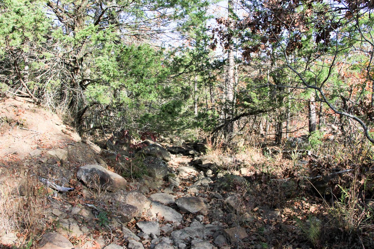 Stone Creek Phase III Tract 60 photo 6