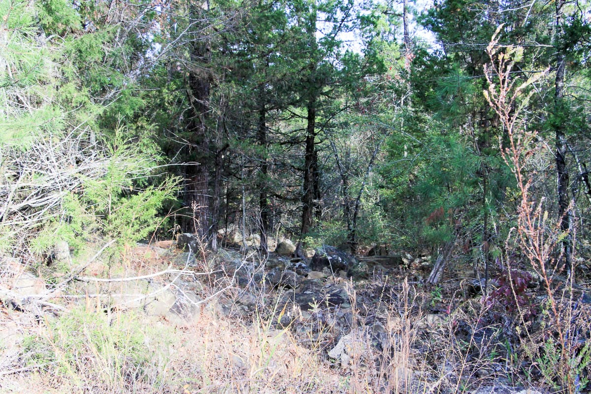 Stone Creek Phase III Tract 60 photo 7