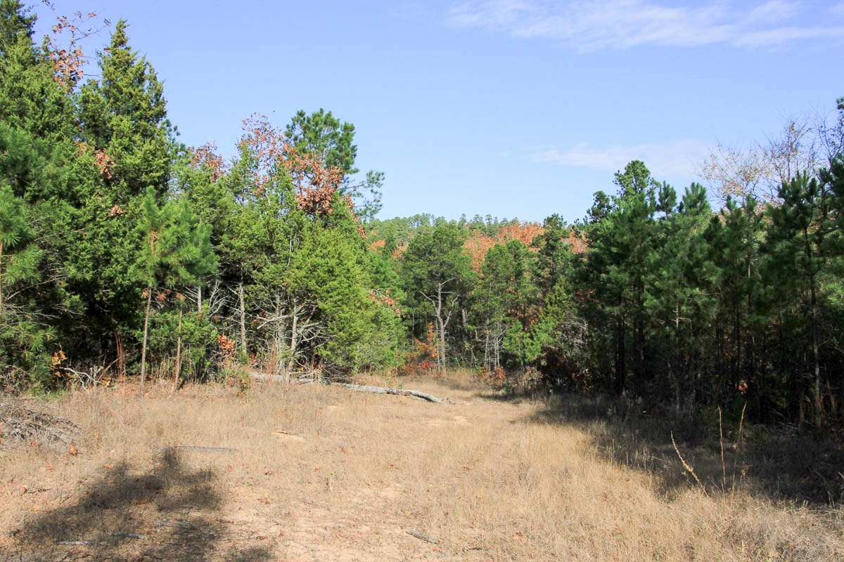 Stone Creek Phase III Tract 60 photo 8