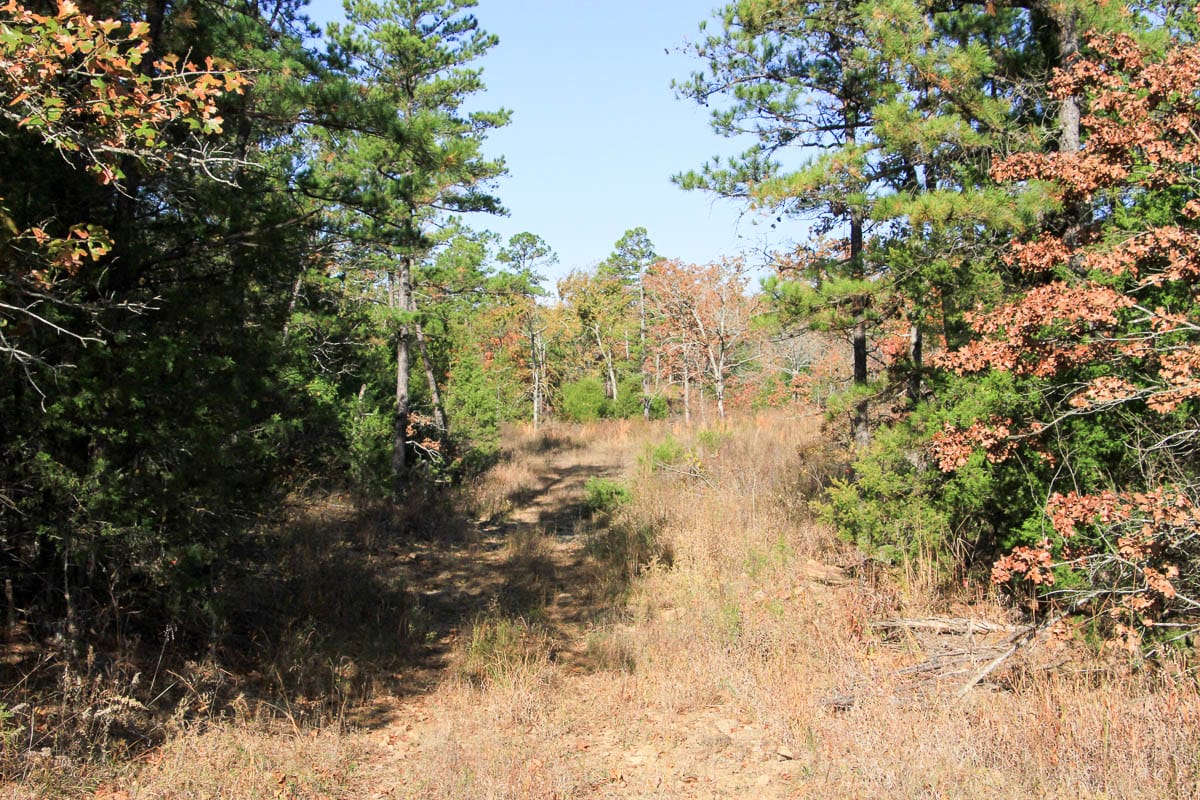 Stone Creek Phase III Tract 60 photo 11