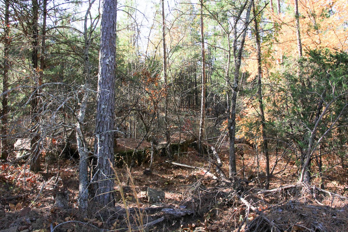 Stone Creek Phase III Tract 60 photo 12
