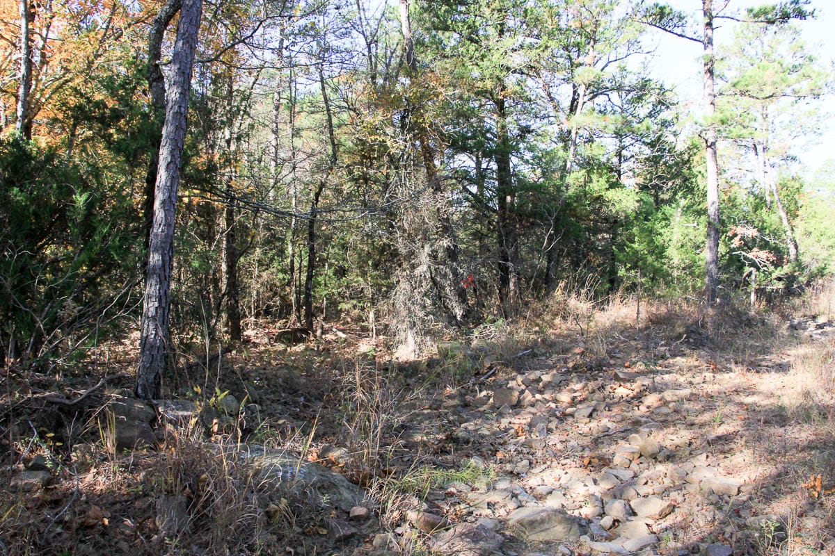 Stone Creek Phase III Tract 60 photo 13