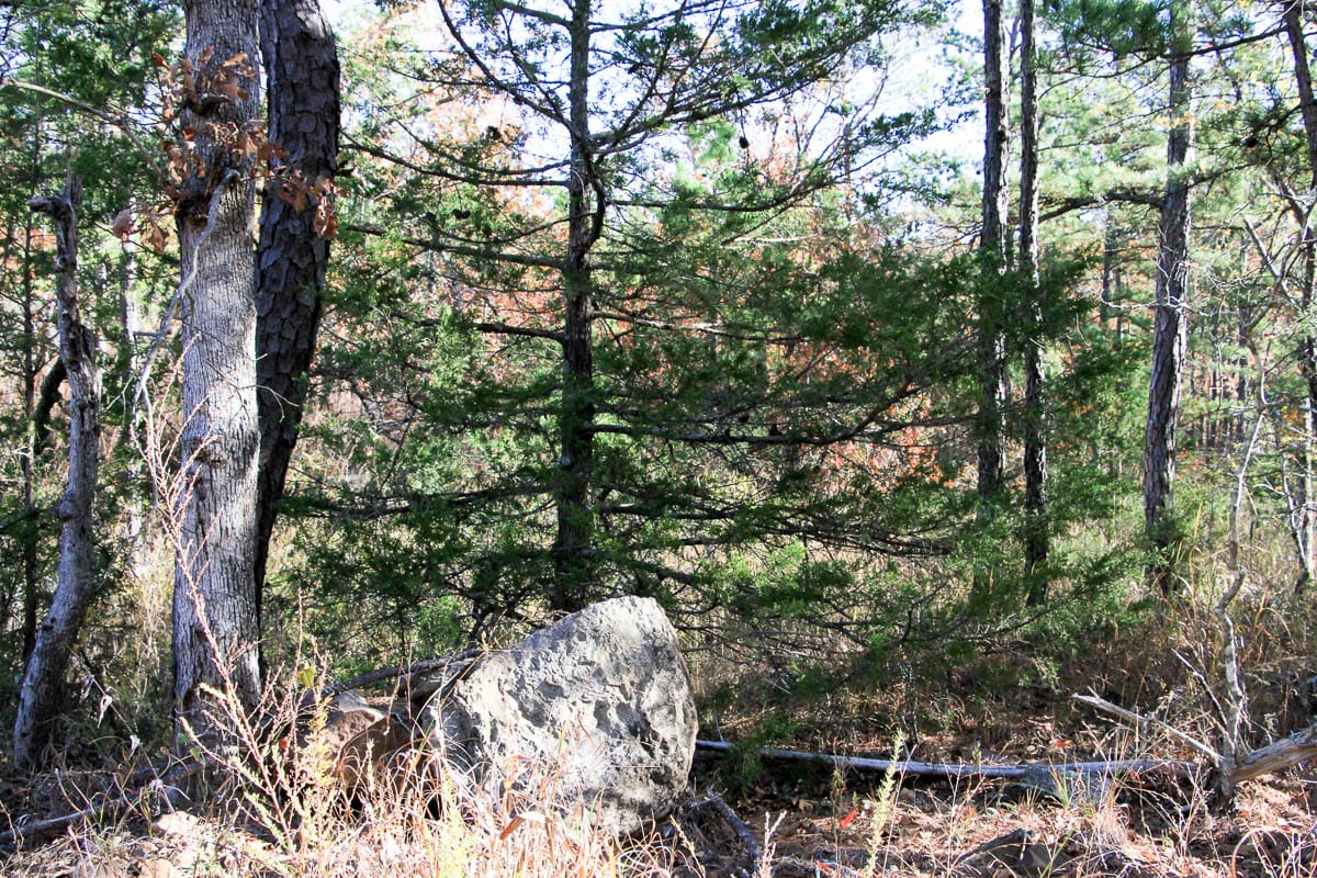 Stone Creek Phase III Tract 60 photo 14