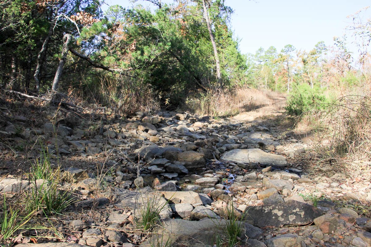 Stone Creek Phase III Tract 60 photo 15
