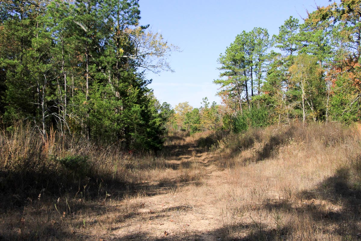 Stone Creek Phase III Tract 60 photo 16