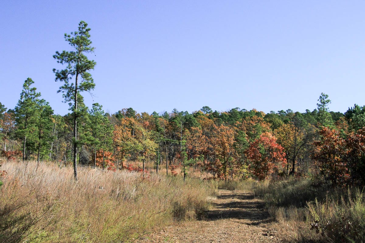 Stone Creek Phase III Tract 60 photo 18