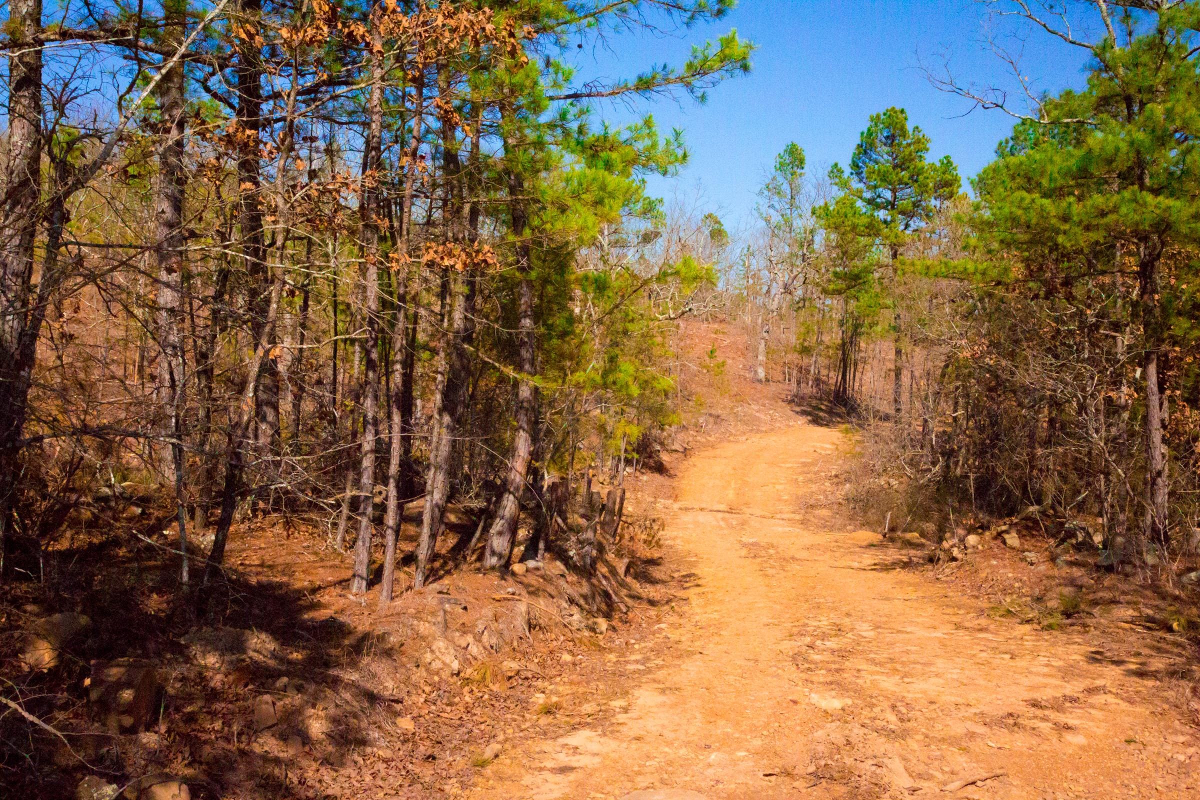 Stone Creek Phase II Tract 117 photo 2