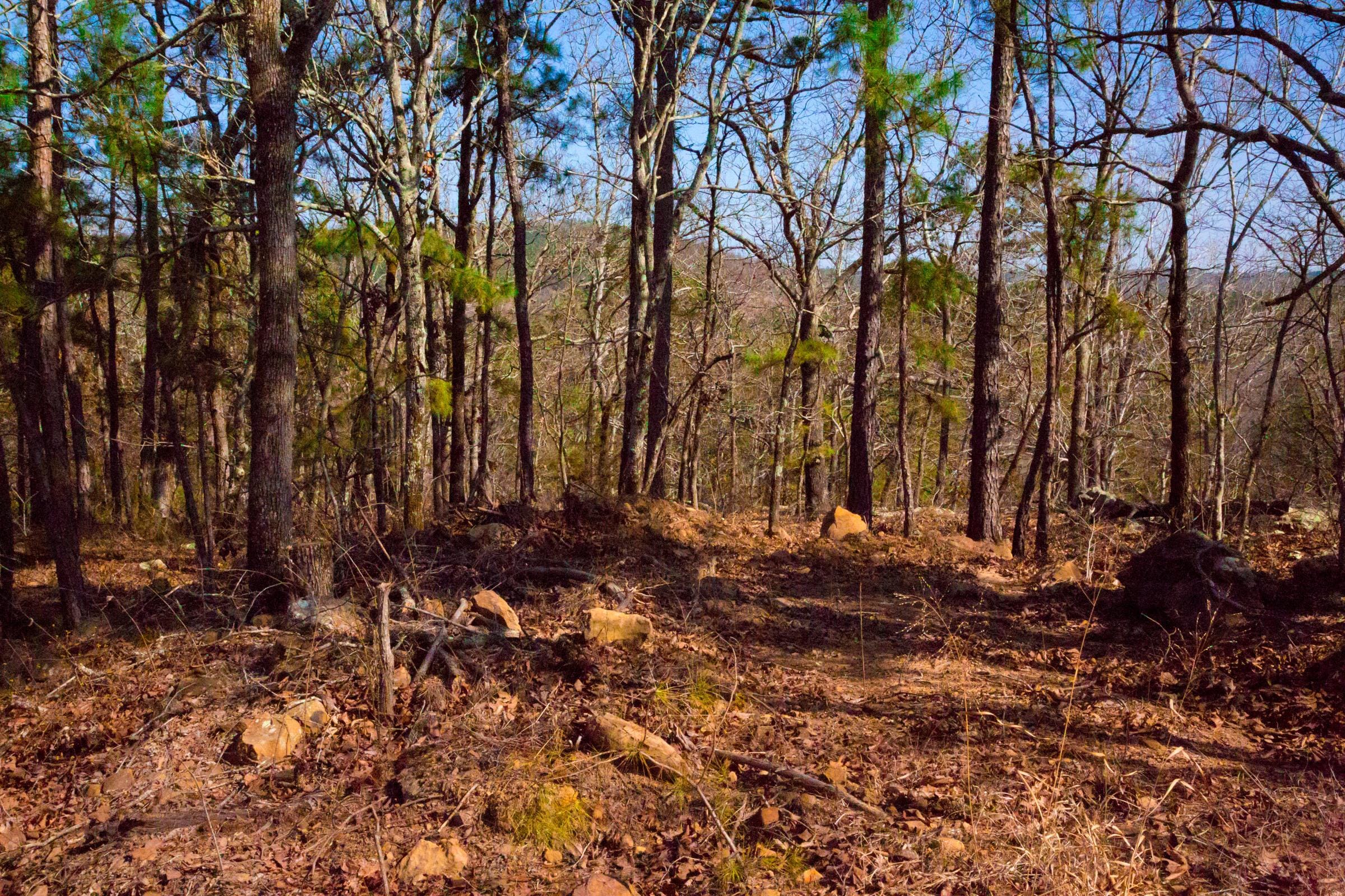 Stone Creek Phase II Tract 117 photo 3