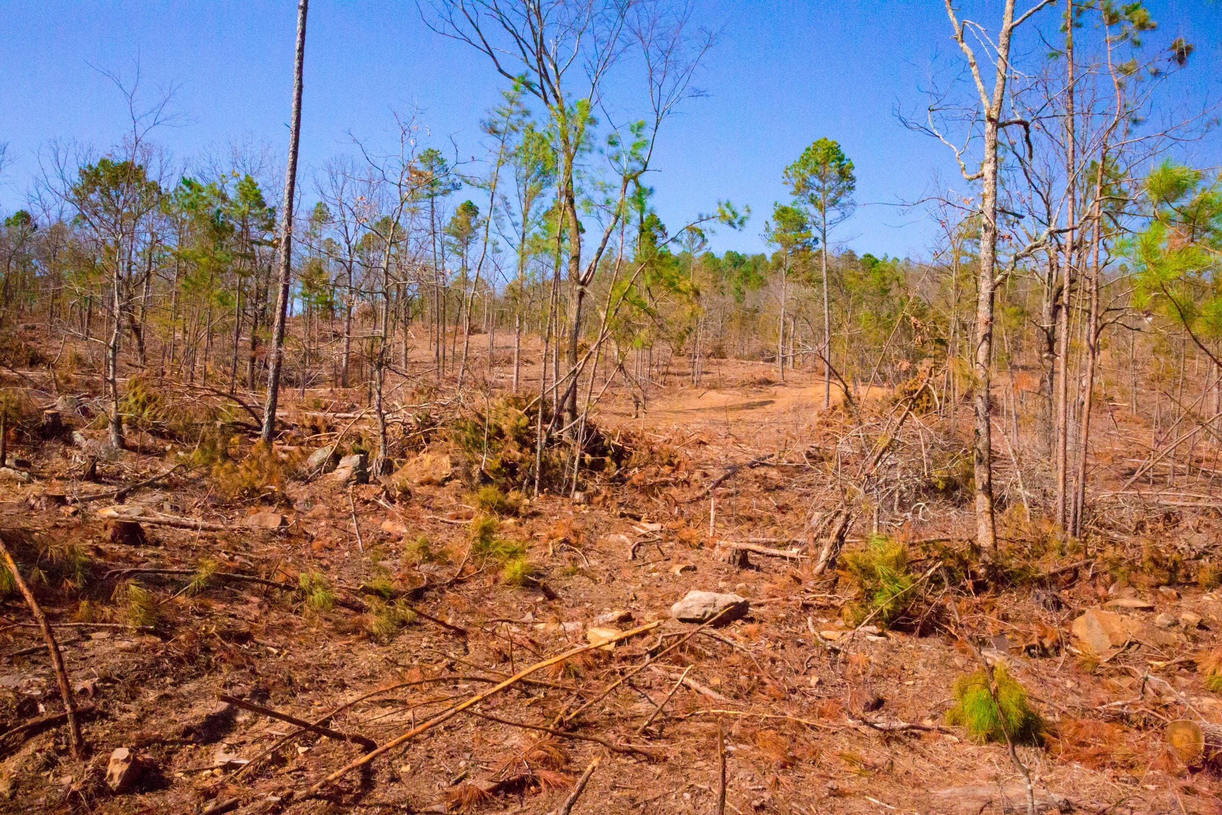 Stone Creek Phase II Tract 117 photo 4