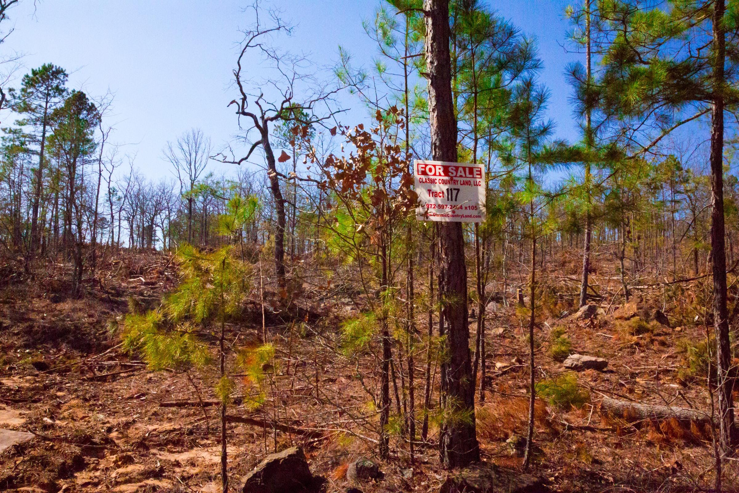 Stone Creek Phase II Tract 117 photo 1