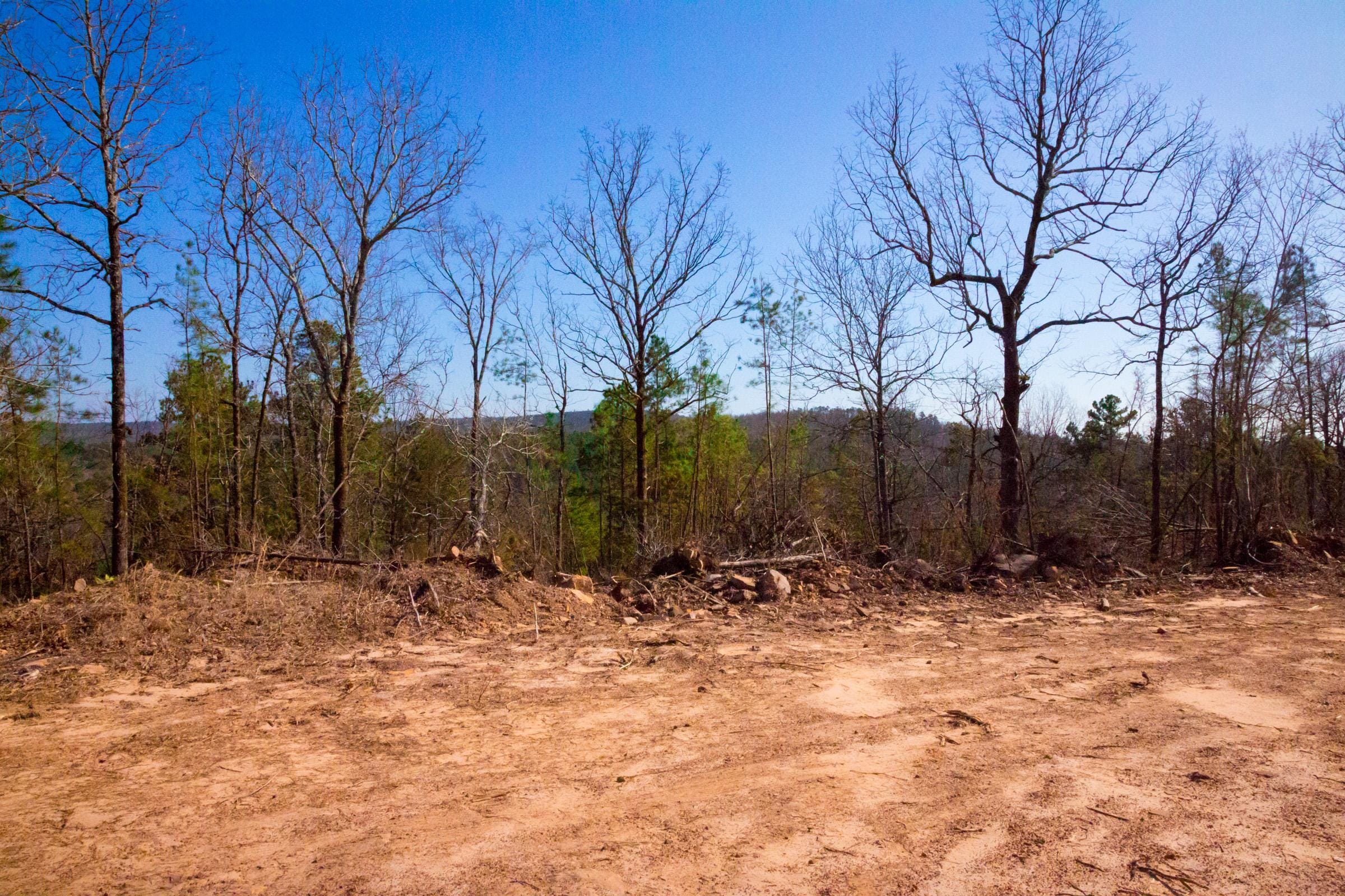 Stone Creek Phase II Tract 117 photo 5