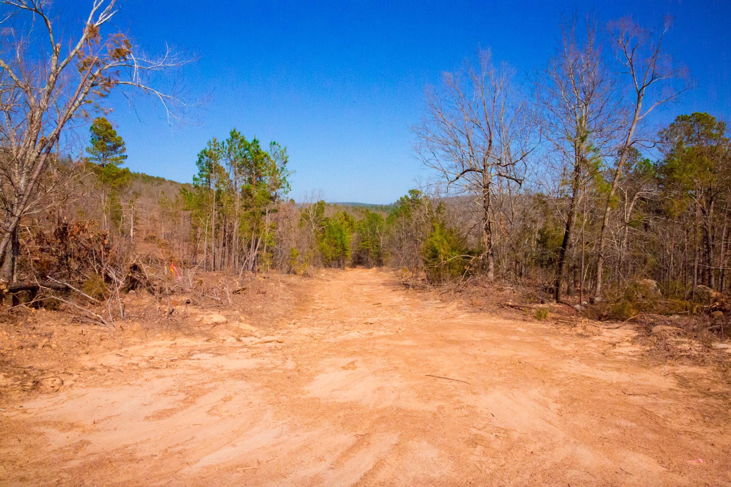 Stone Creek Phase II Tract 117 photo 6