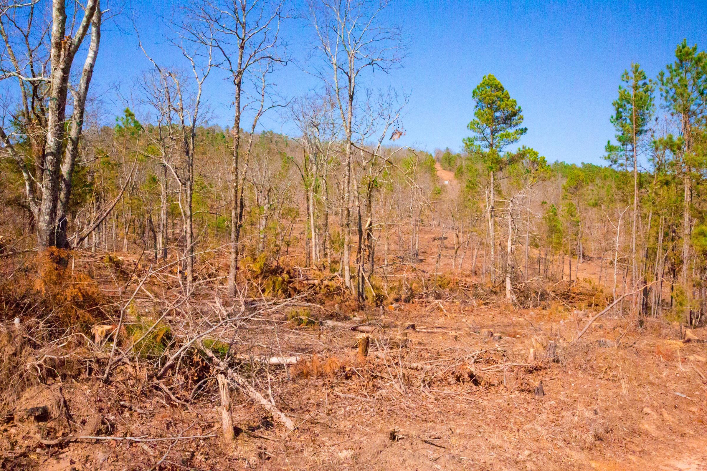 Stone Creek Phase II Tract 117 photo 7