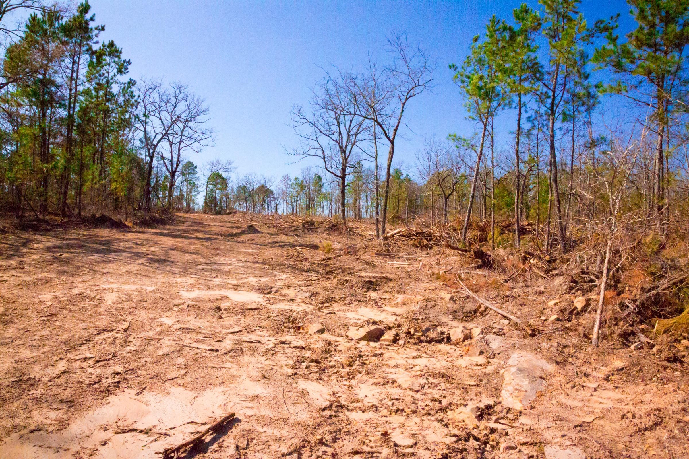 Stone Creek Phase II Tract 117 photo 8