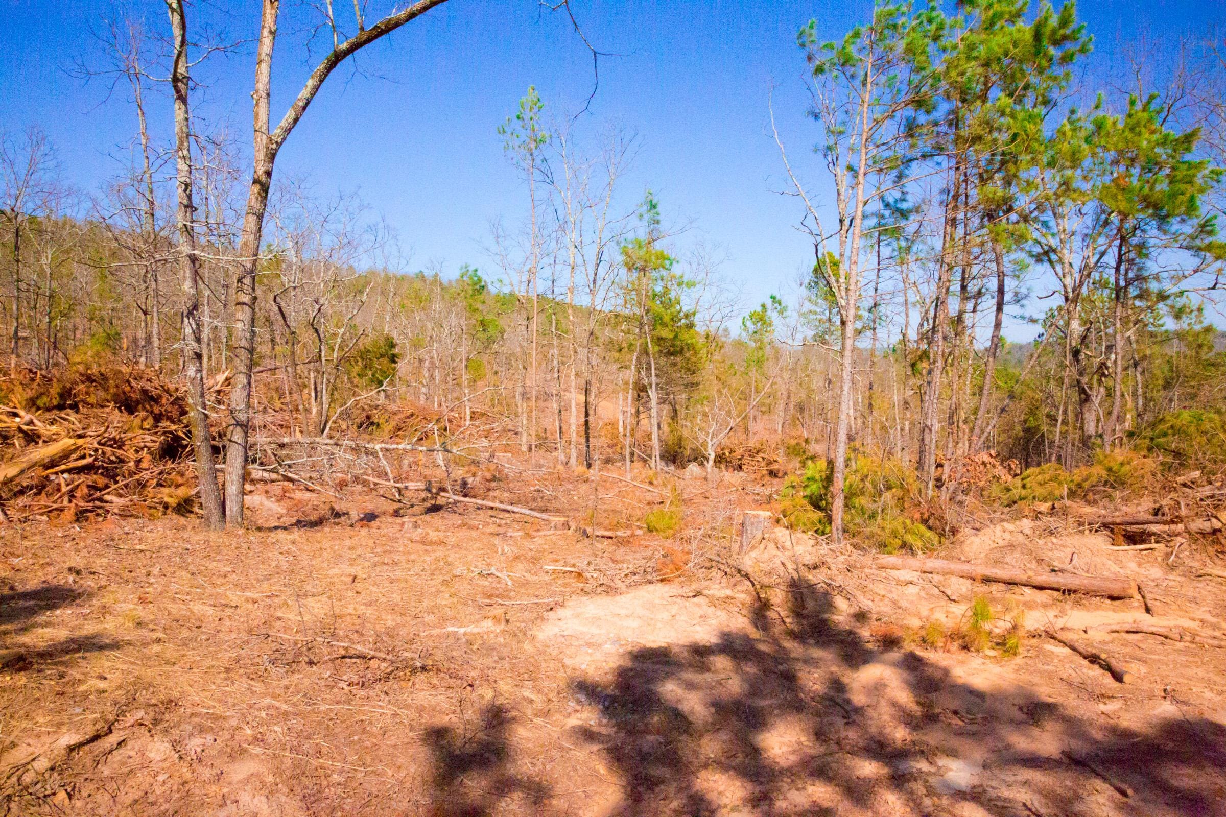 Stone Creek Phase II Tract 117 photo 9