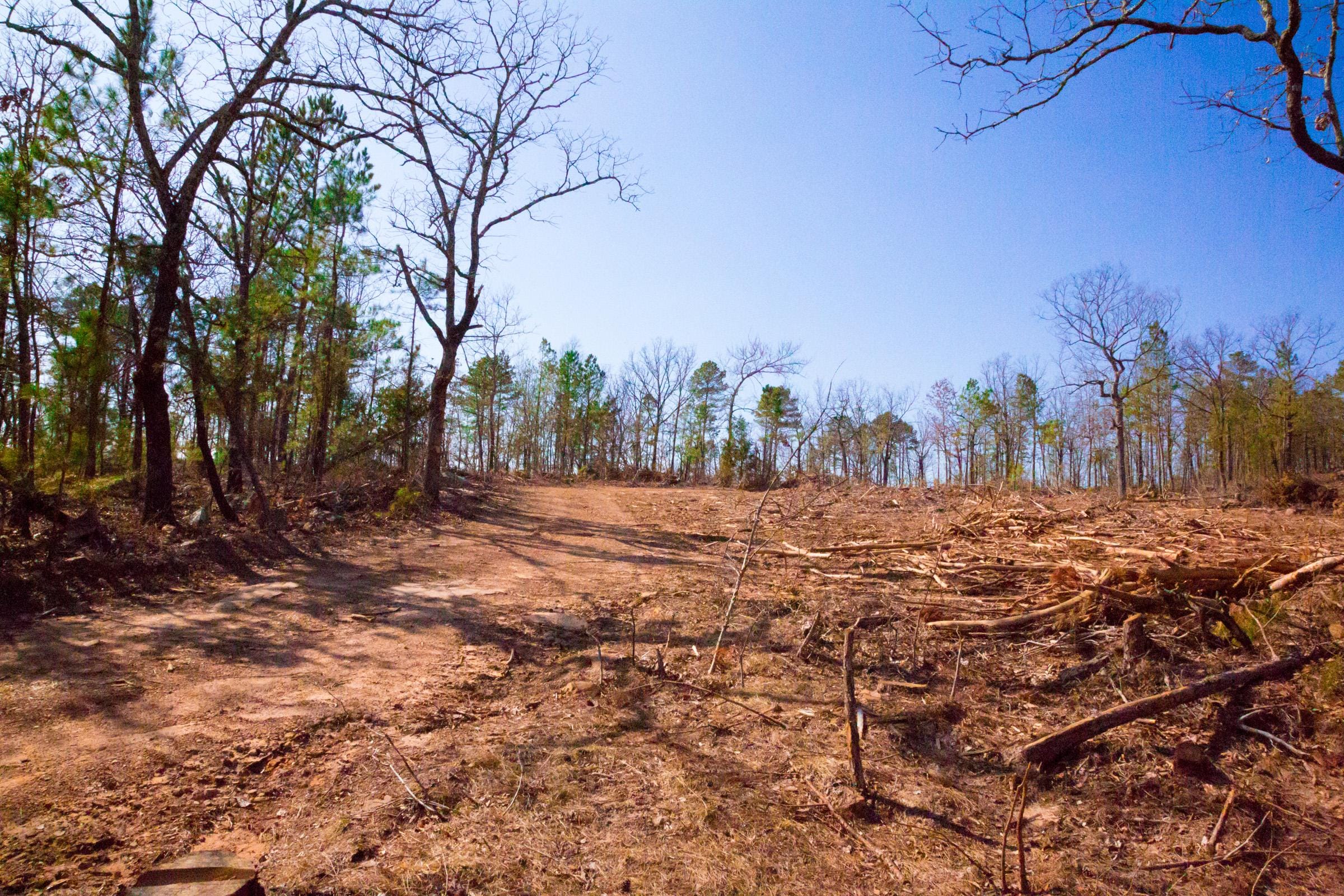 Stone Creek Phase II Tract 117 photo 11
