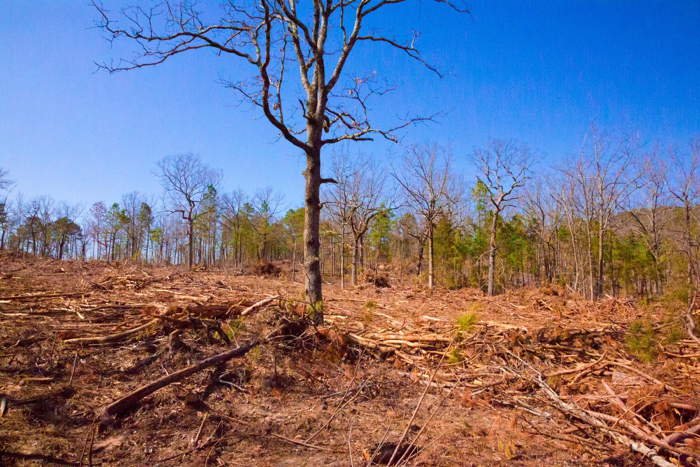 Stone Creek Phase II Tract 117 photo 12