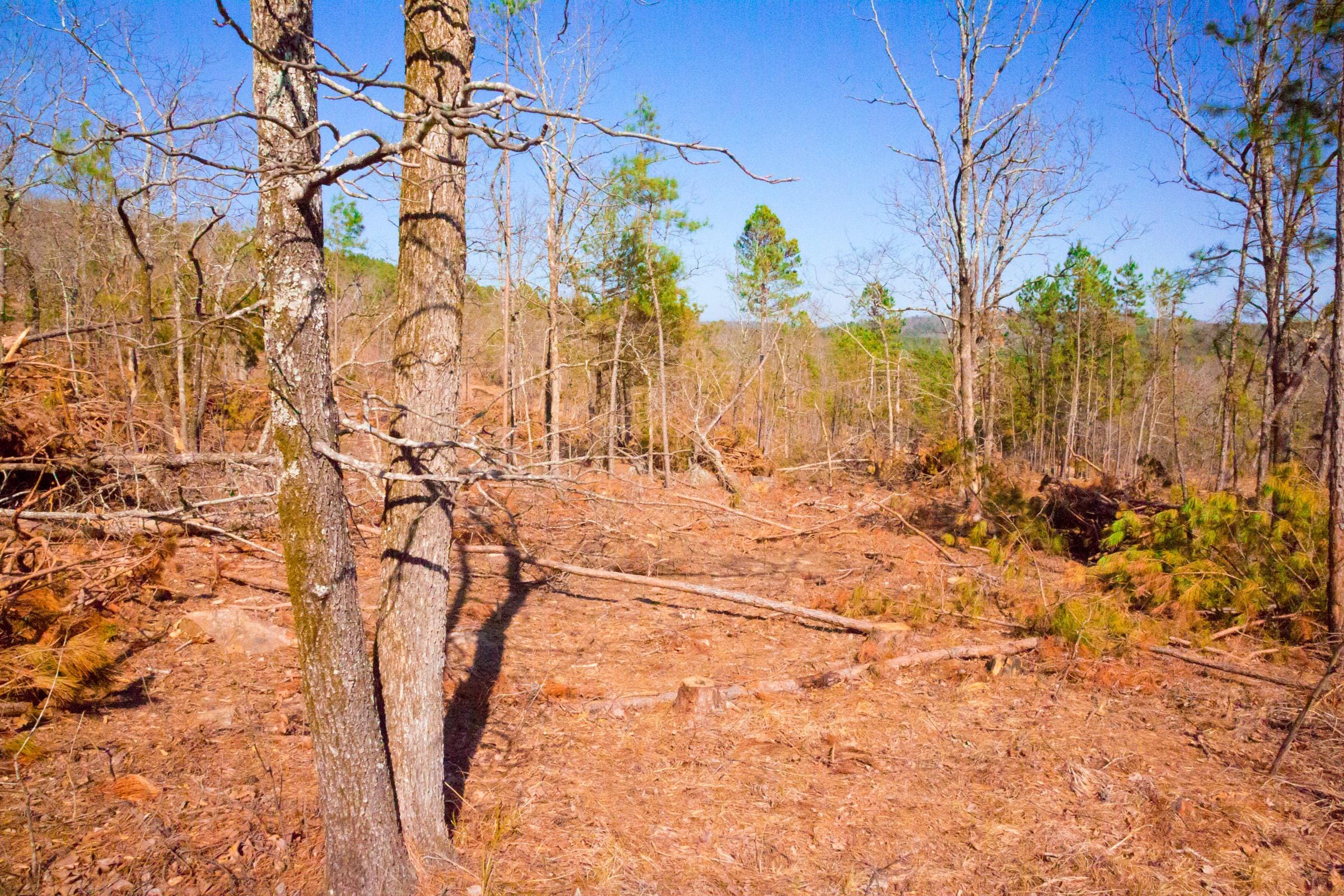 Stone Creek Phase II Tract 117 photo 13