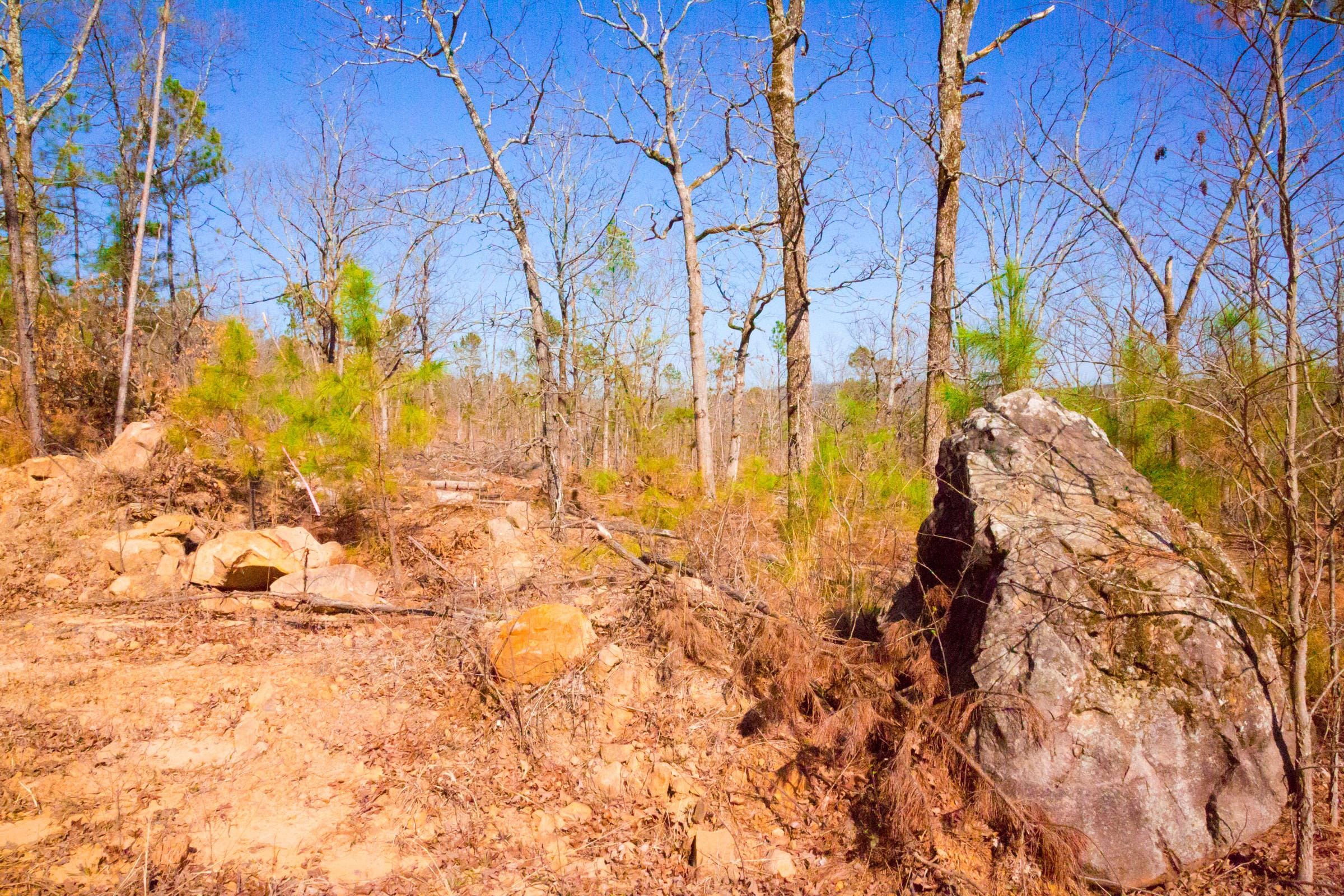 Stone Creek Phase II Tract 117 photo 15