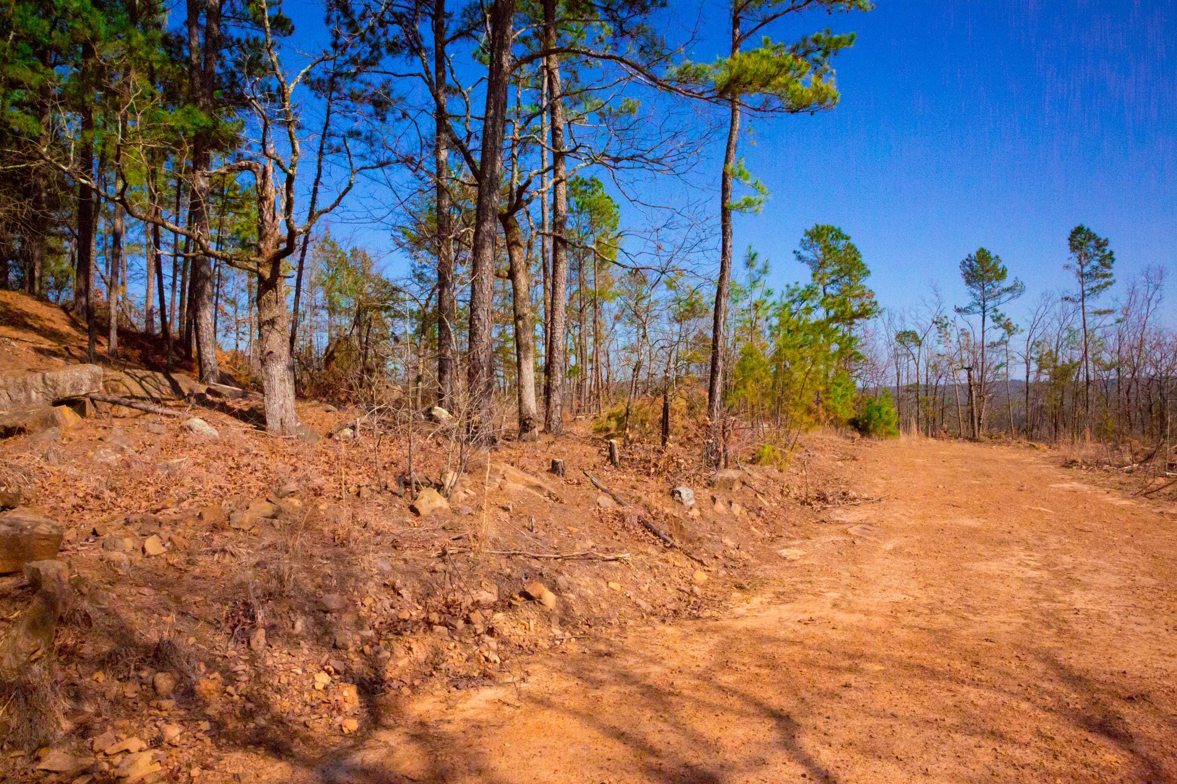 Stone Creek Phase II Tract 117 photo 16