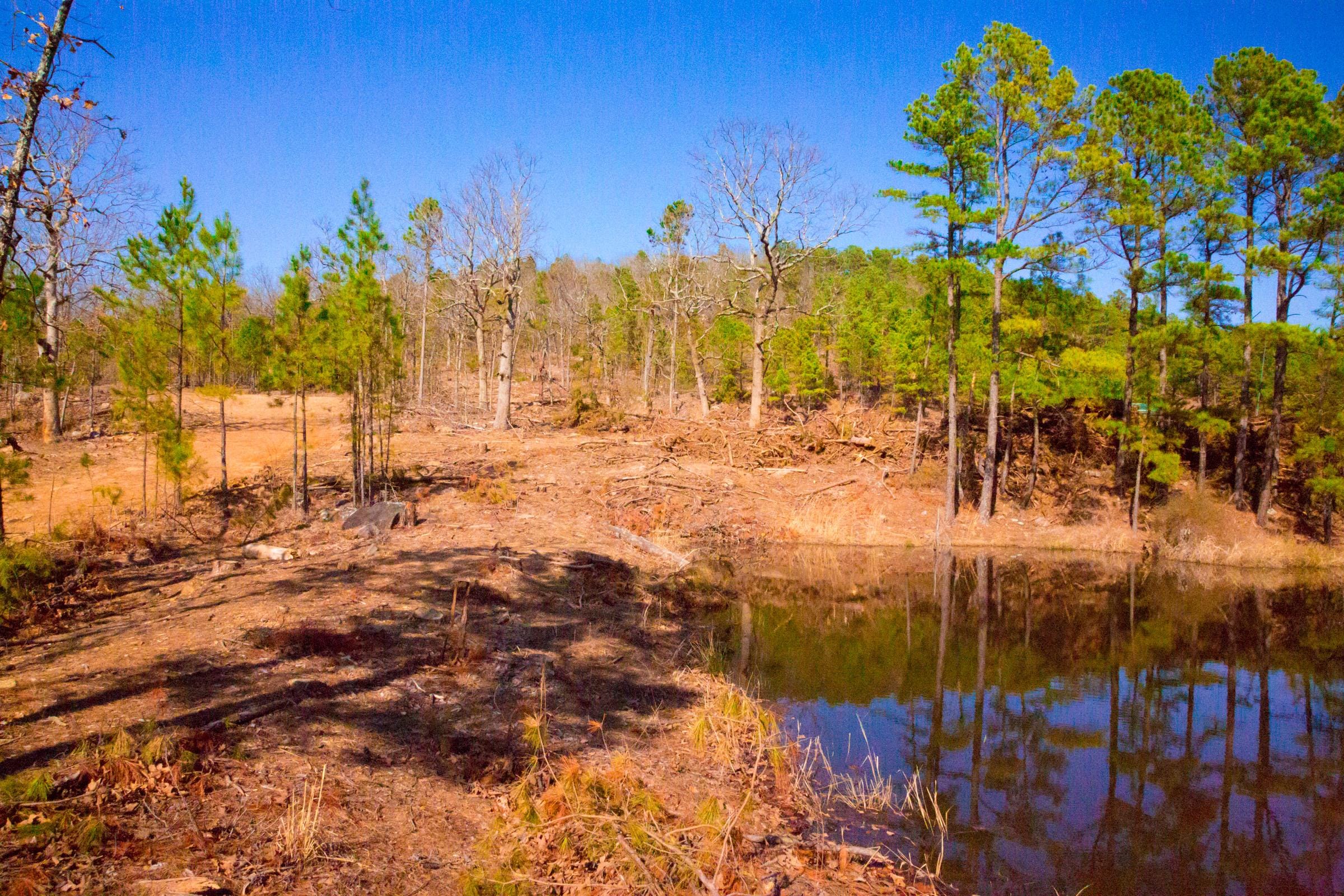 Stone Creek Phase II Tract 117 photo 19