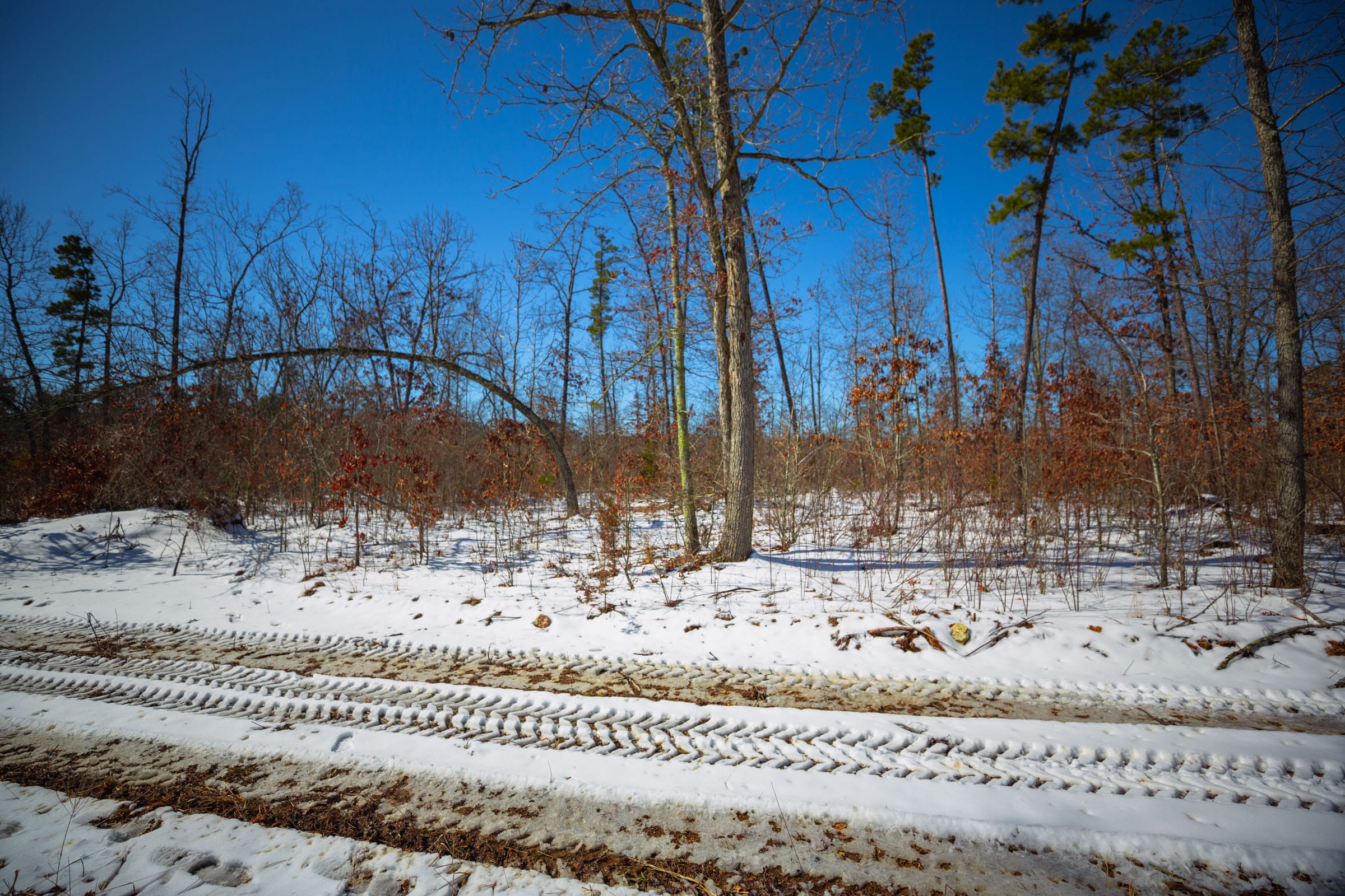 Sleepy Hollow Phase I Tract 33 photo 4