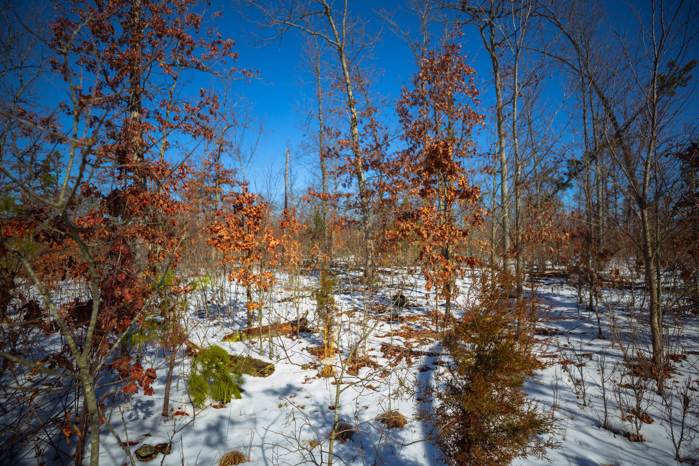 Sleepy Hollow Phase I Tract 33 photo 17