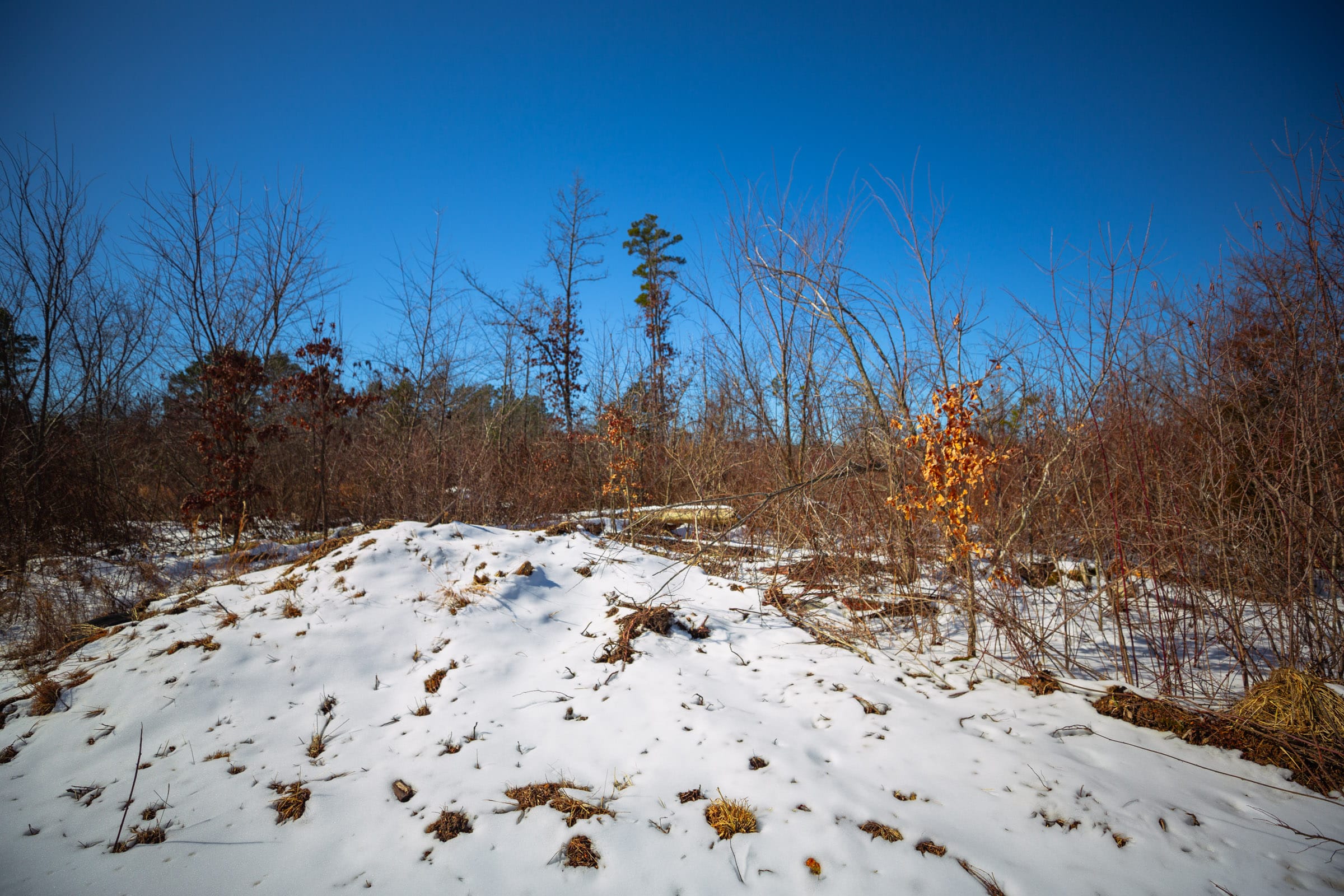 Sleepy Hollow Phase I Tract 33 photo 6