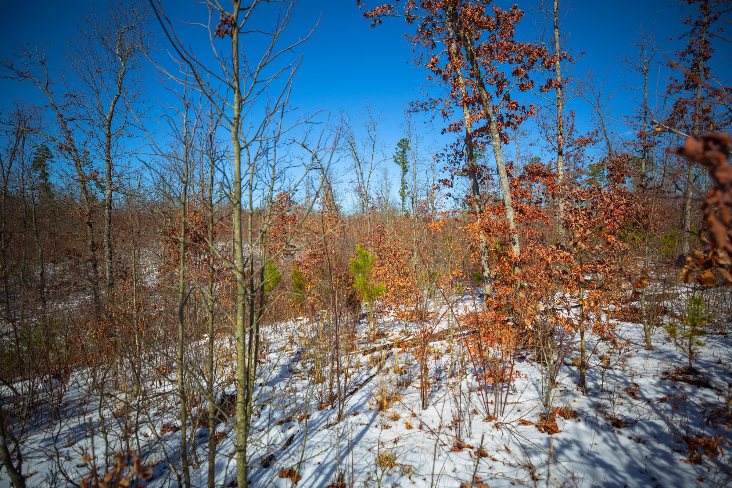 Sleepy Hollow Phase I Tract 33 photo 1