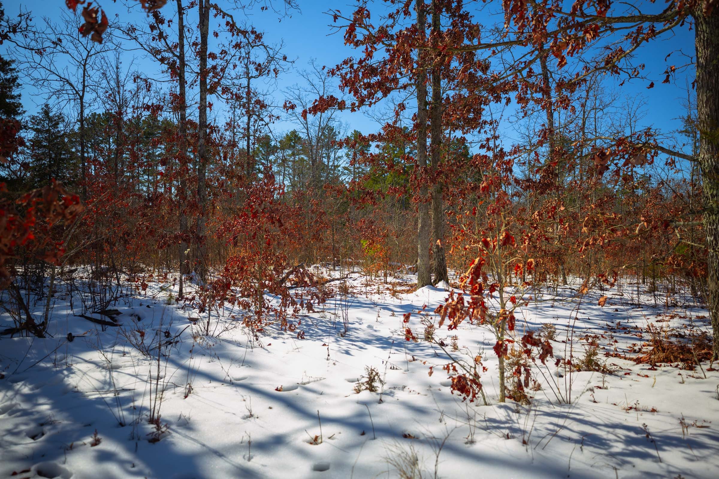 Sleepy Hollow Phase I Tract 33 photo 11
