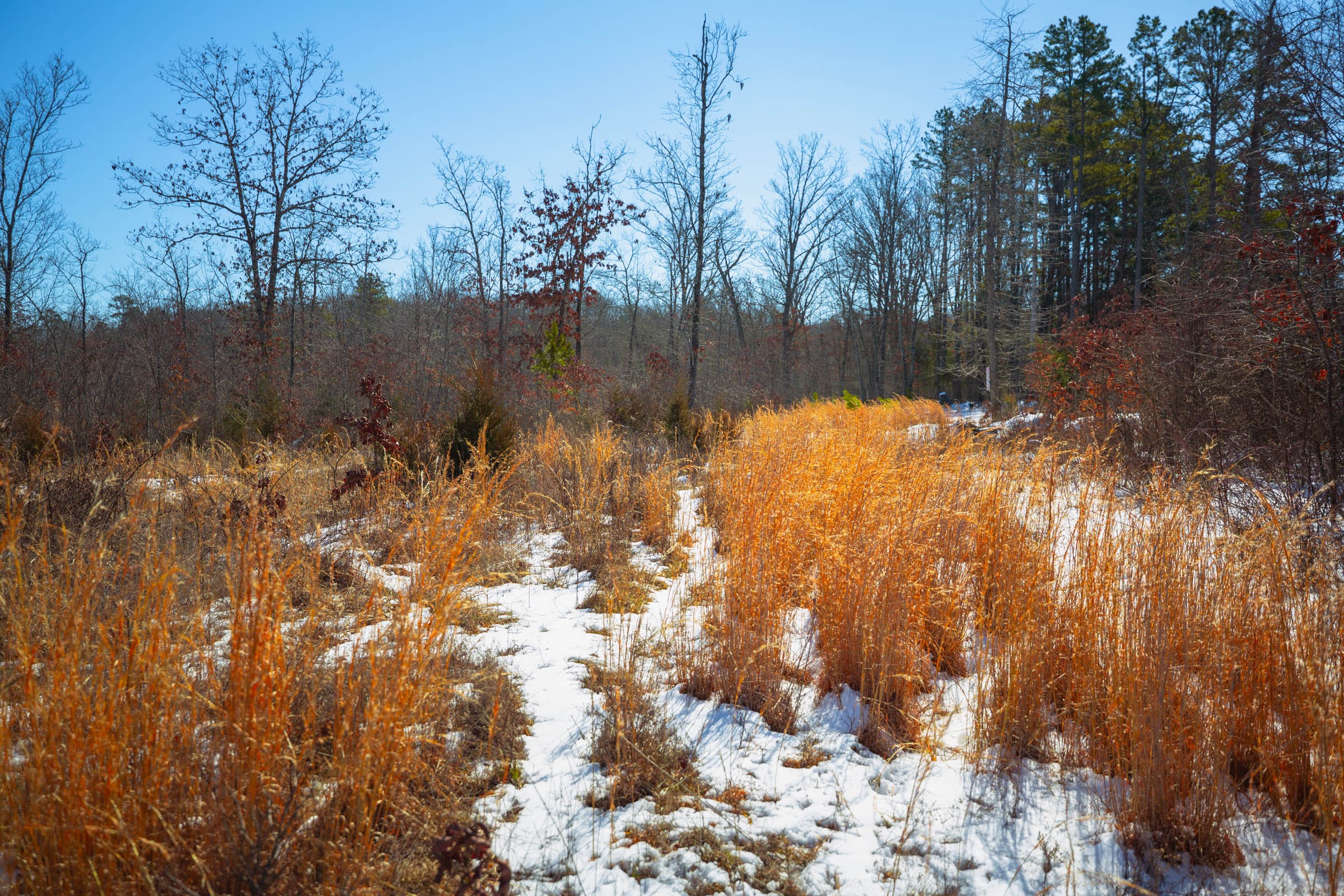 Sleepy Hollow Phase I Tract 33 photo 13
