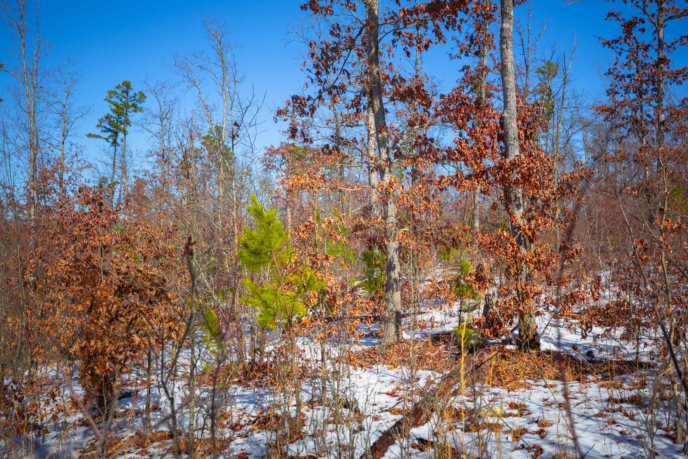 Sleepy Hollow Phase I Tract 33 photo 12
