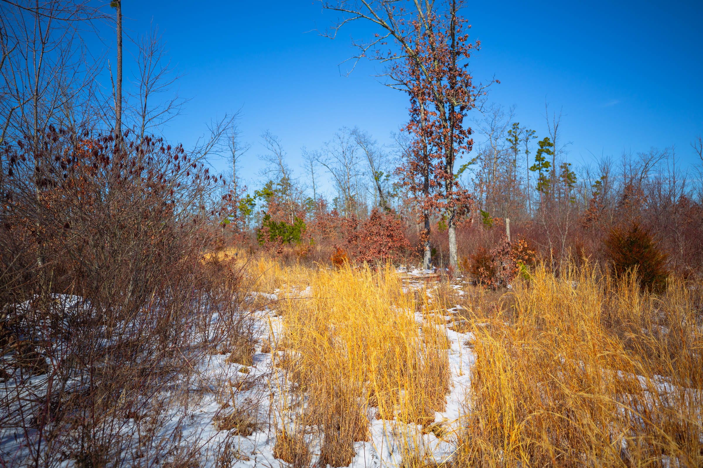 Sleepy Hollow Phase I Tract 33 photo 7