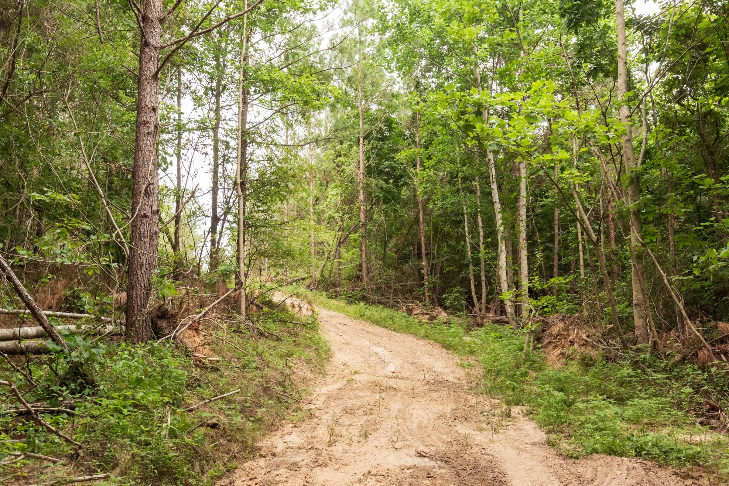 Whiskey Ridge Tract 93 photo 1